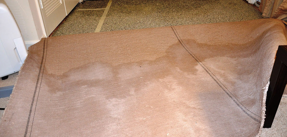 How to Dry Wet Carpets Easily